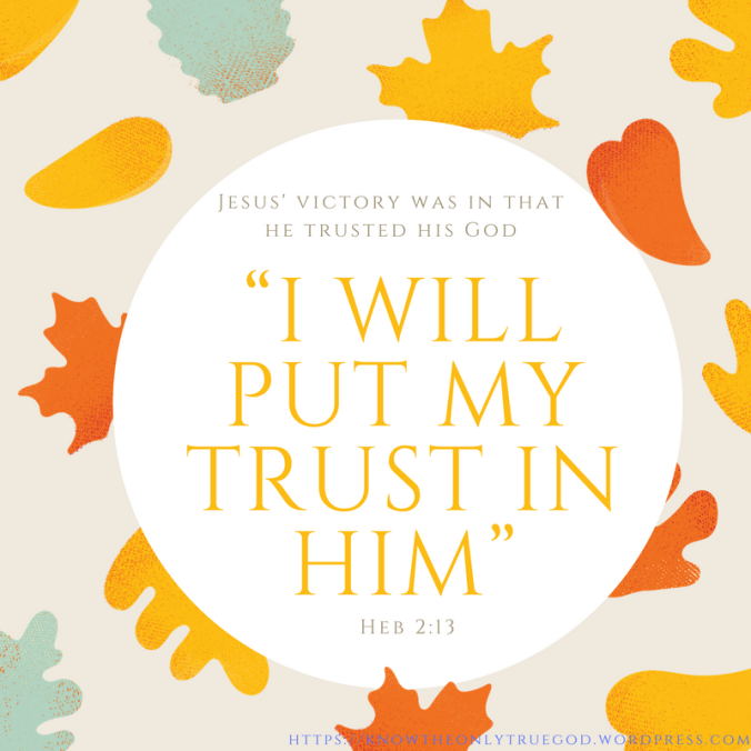 I will put my trust in him